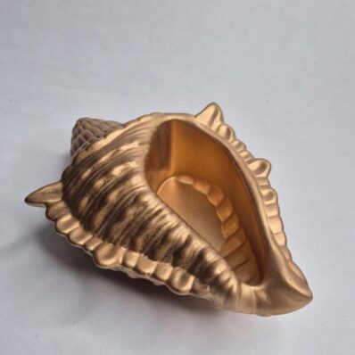 golden conch pot