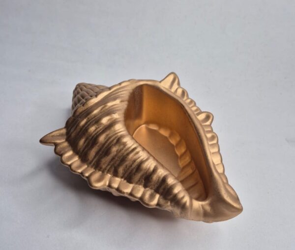 golden conch pot