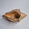 golden conch pot