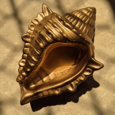 golden conch pot