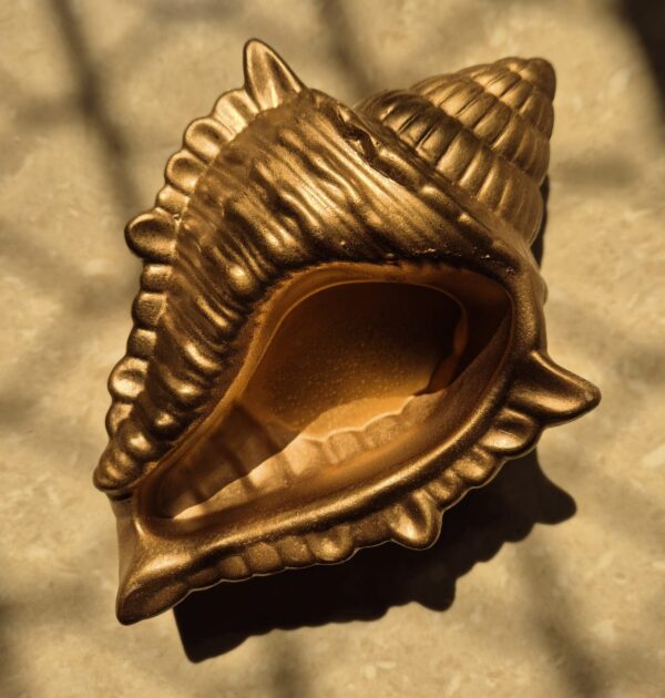 golden conch pot